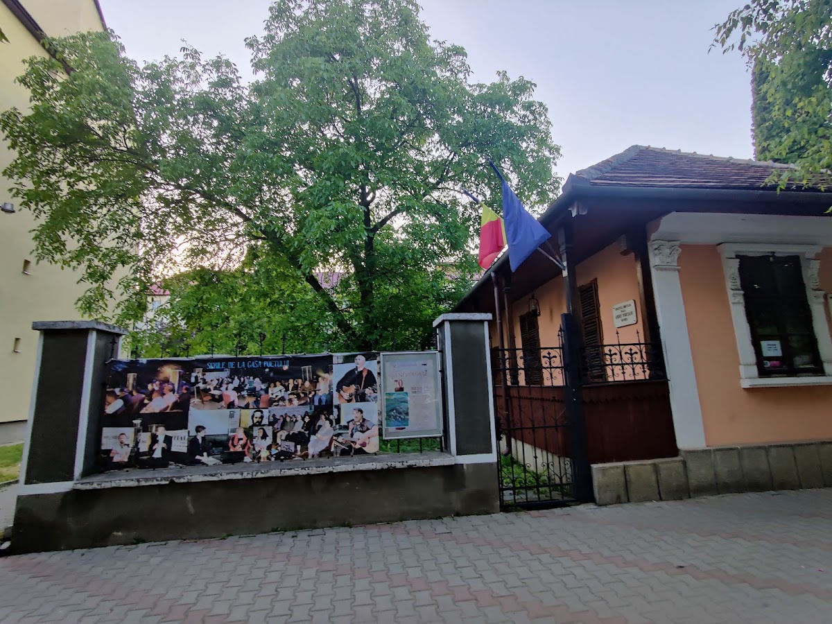 Andrei Mureșanu Memorial House - foto 2