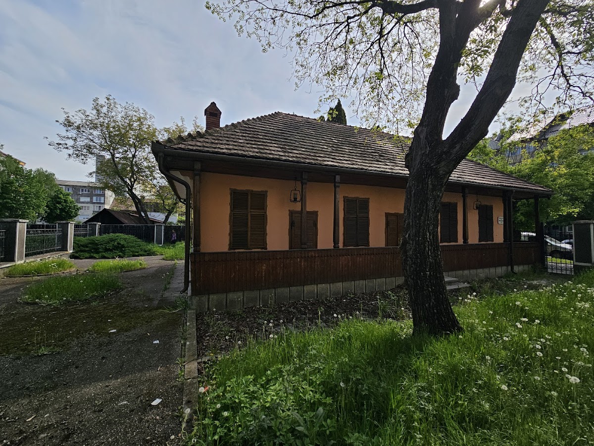 Andrei Mureșanu Memorial House - foto 3