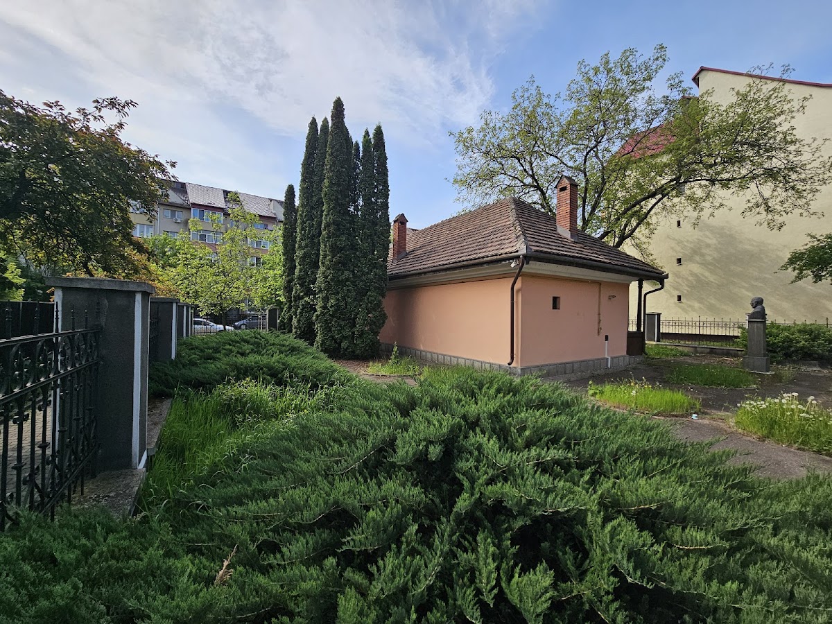 Andrei Mureșanu Memorial House - foto 5