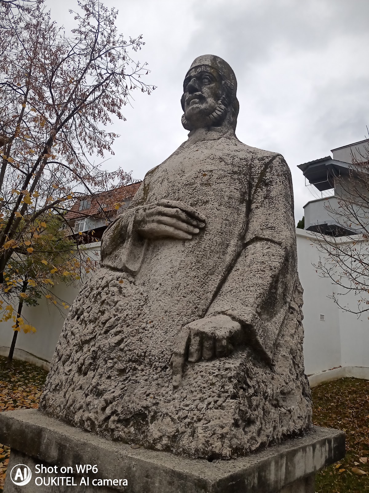 Casa Memorială „Anton Pann” - foto 2