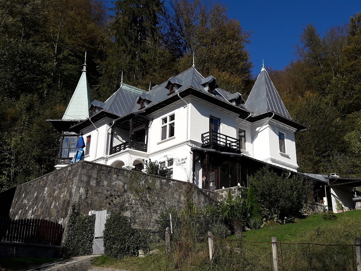 Cezar Petrescu Memorial House - foto 5