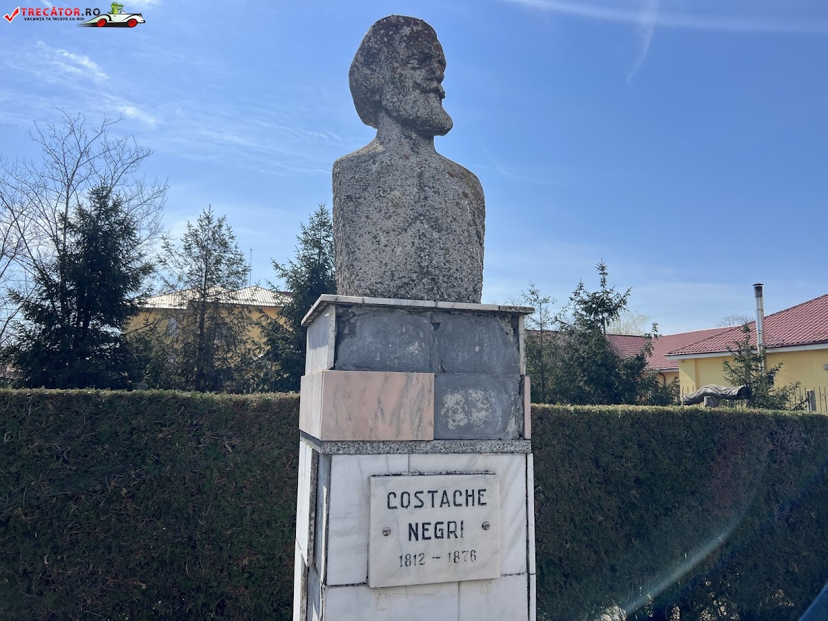 Costache Negri