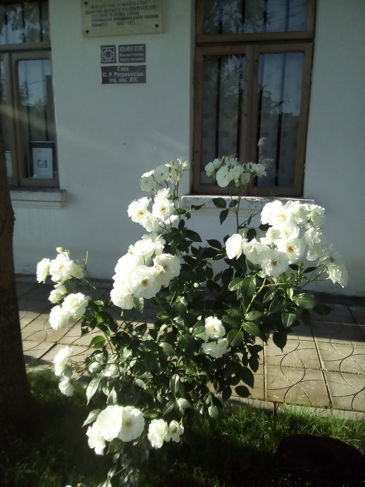 Memorial House "D.P. Perpessicius" - foto 4