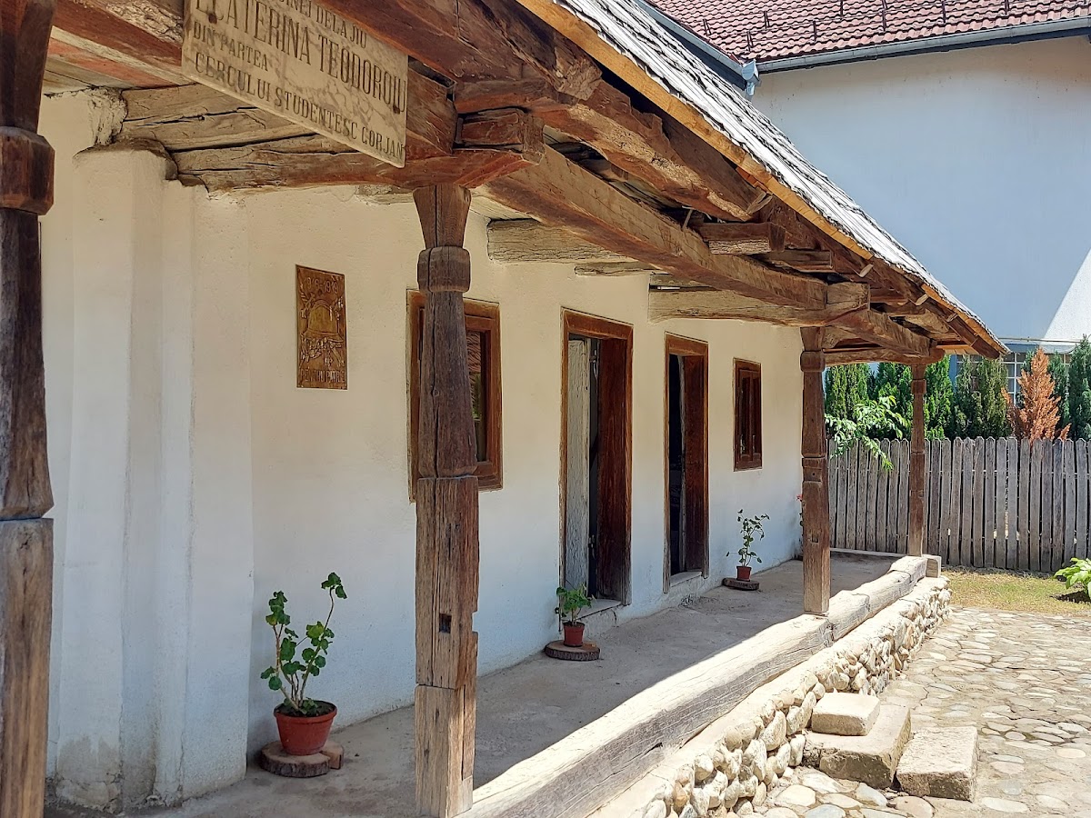 Casa Memorială Ecaterina Teodoroiu - foto 3