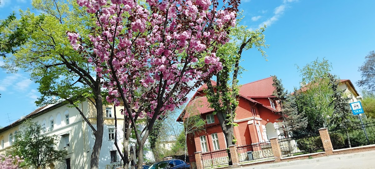 Casa Memorială Mihai Eminescu (Casa Roșie) - foto 5