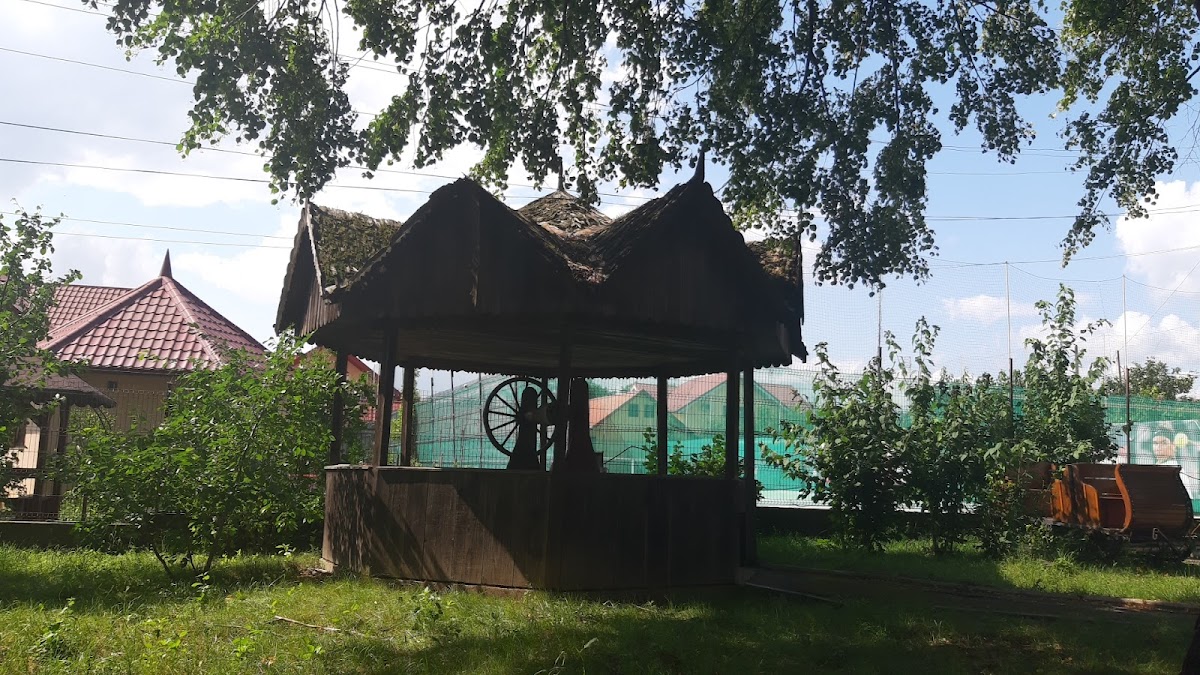 米哈伊·萨多维亚努纪念馆 - foto 2