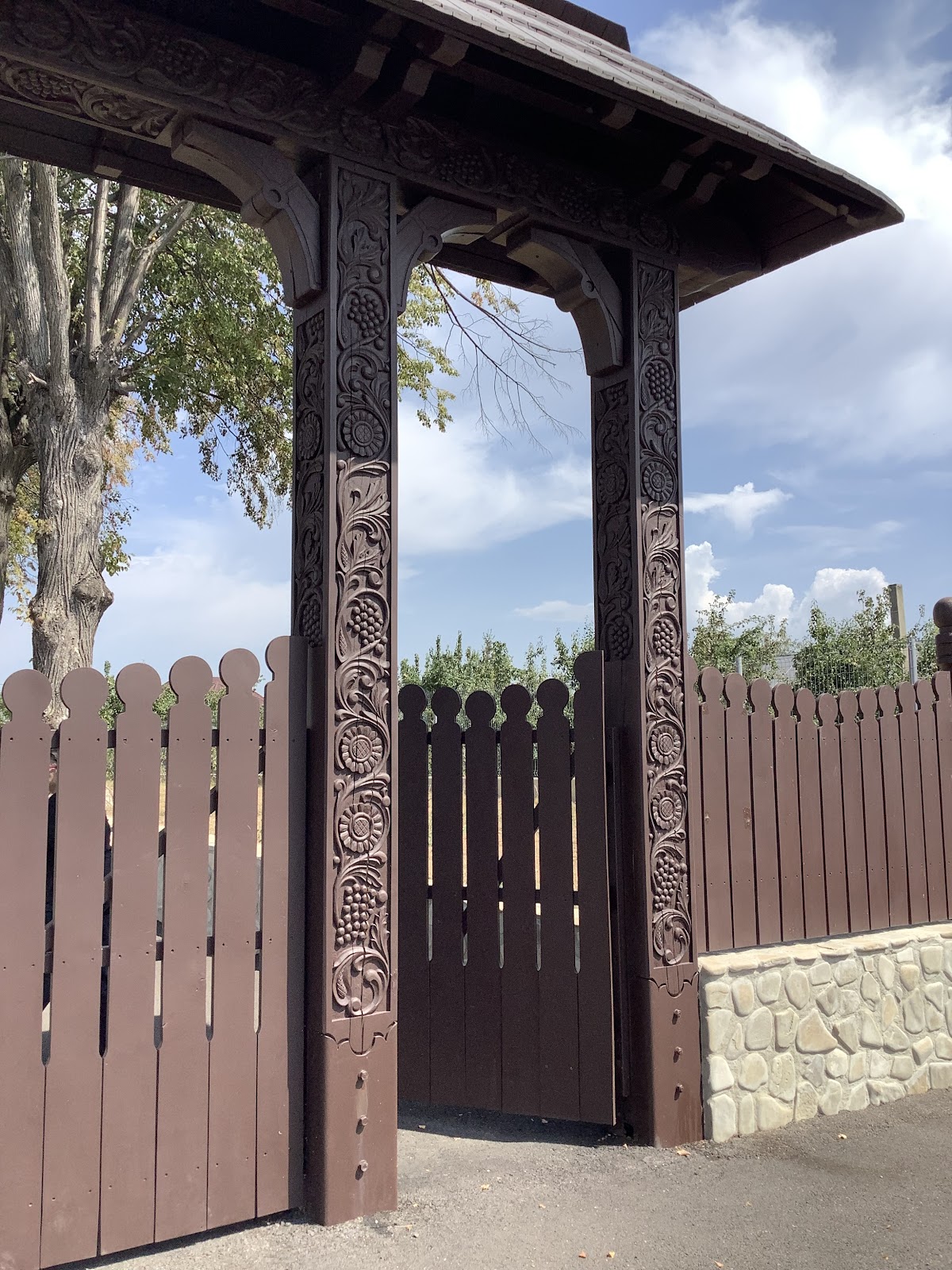 米哈伊·萨多维亚努纪念馆 - foto 3