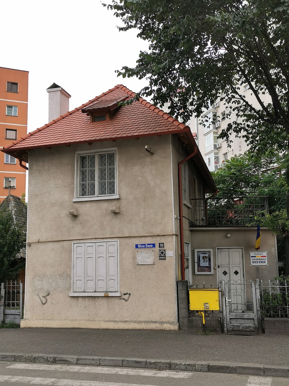 Casa memorială Nicu Enea
