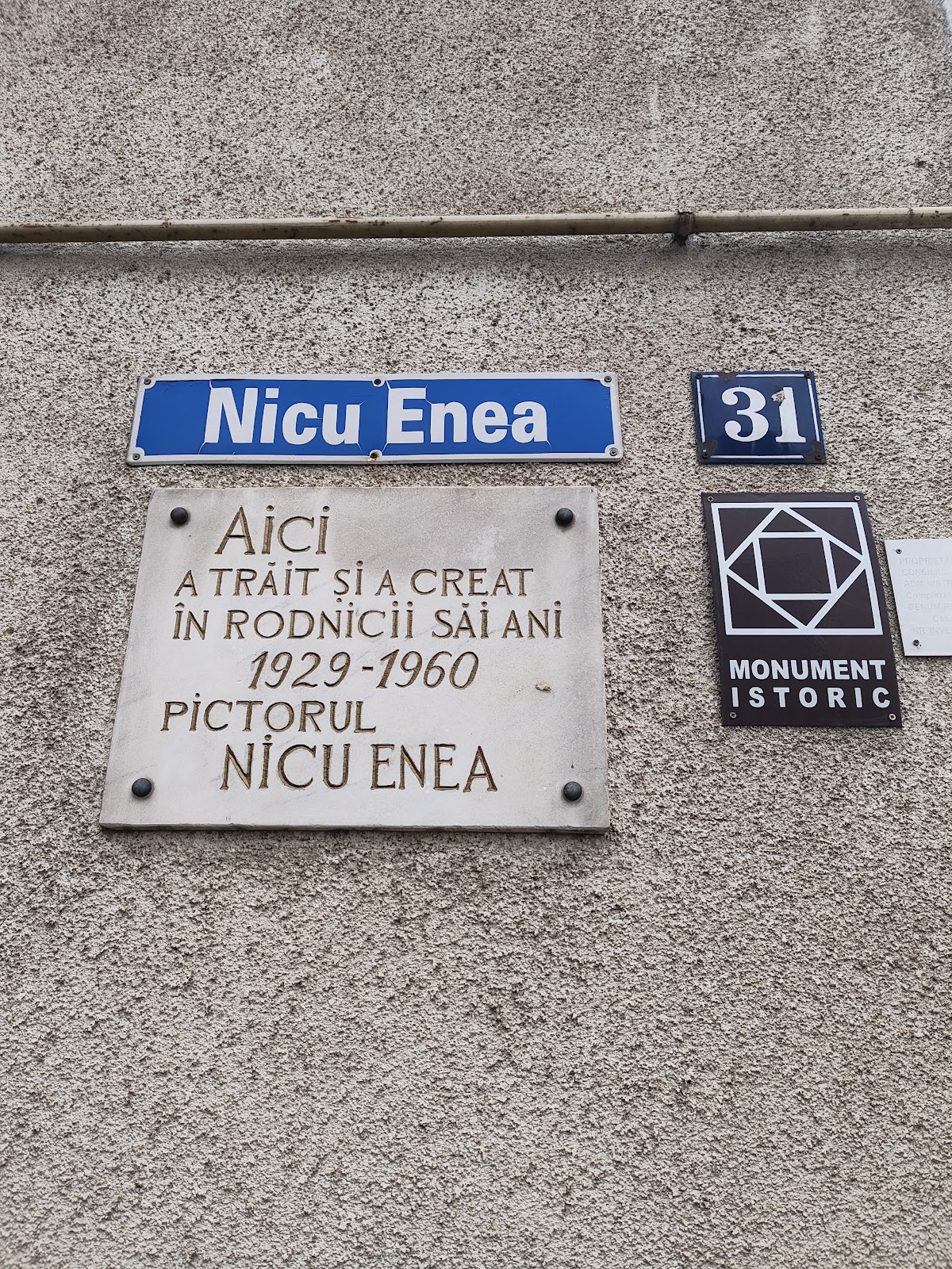 Casa memorial Nicu Enea - foto 3