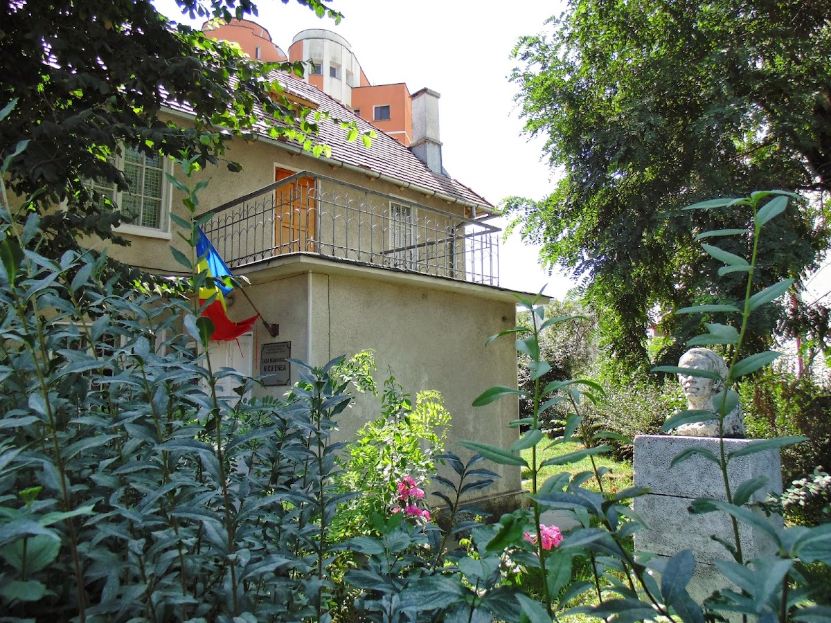 Casa memorial Nicu Enea - foto 4