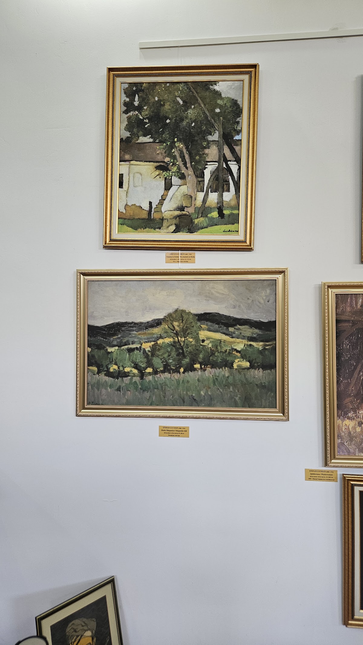 Gedenkhaus “Ștefan Luchian” Ștefănești - foto 3