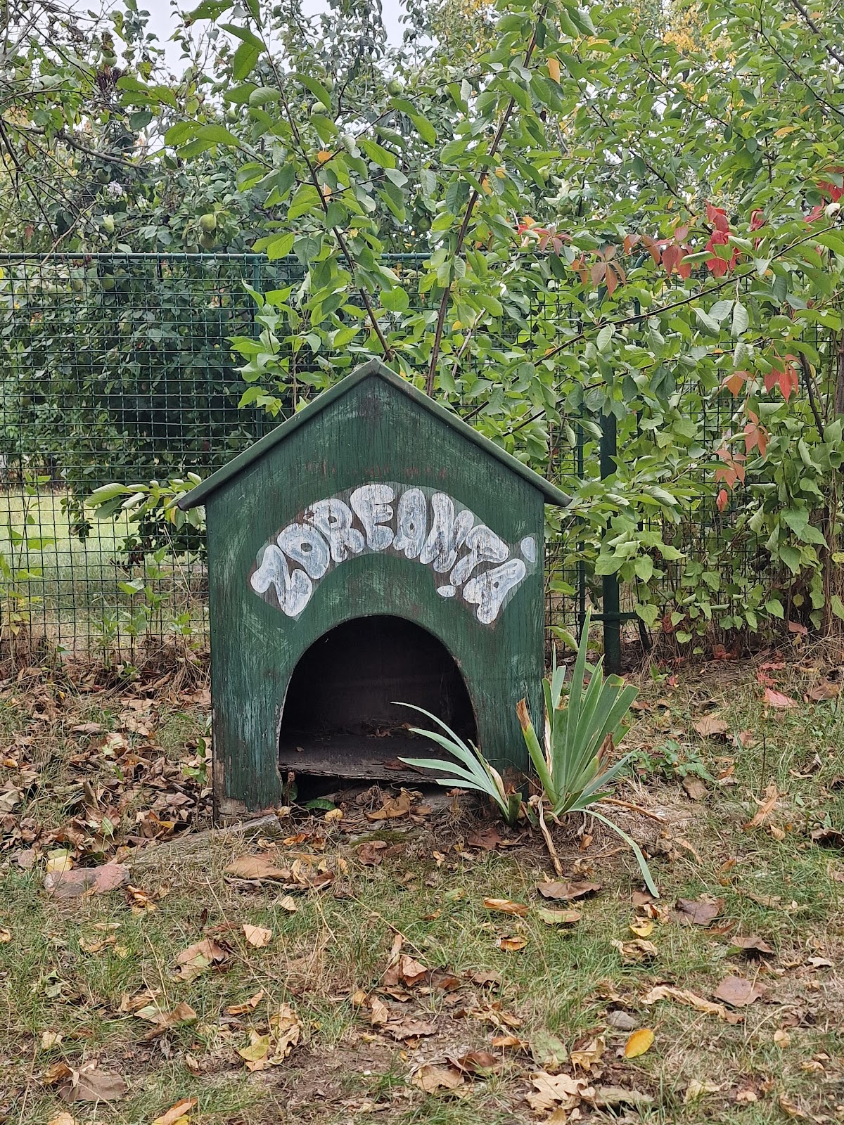 Casa Memoriale "Tudor Arghezi" - foto 3