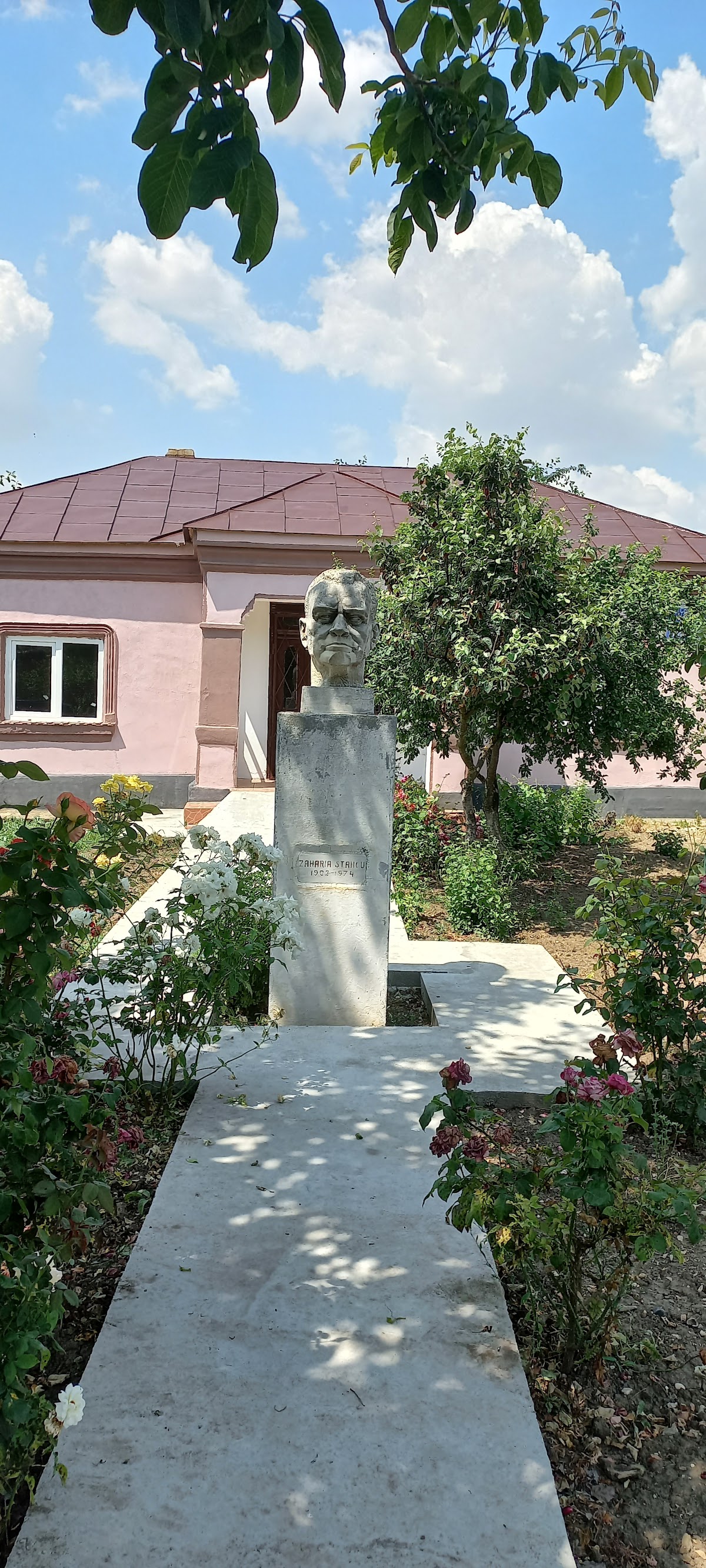 ZAHARIA STANCU MEMORIAL HOUSE - foto 2