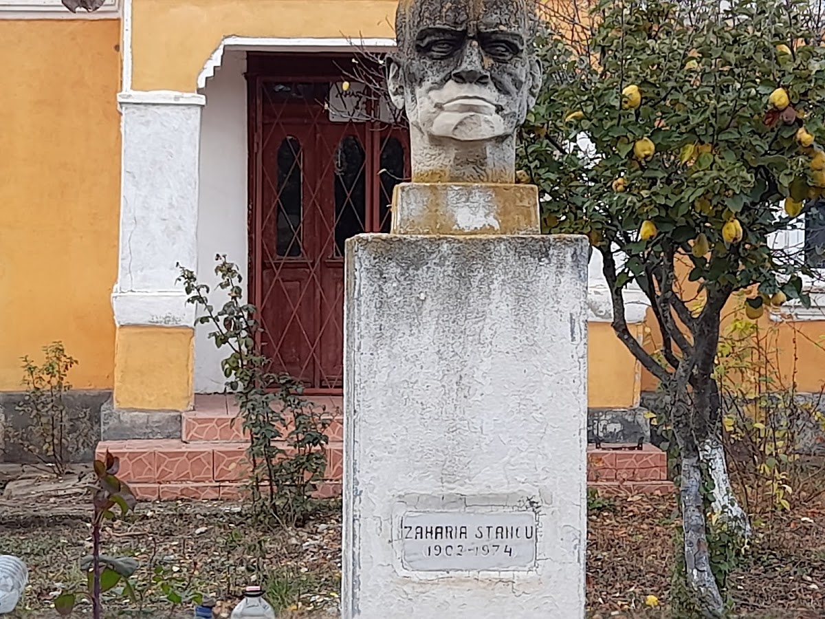 ZAHARIA STANCU MEMORIAL HOUSE - foto 4