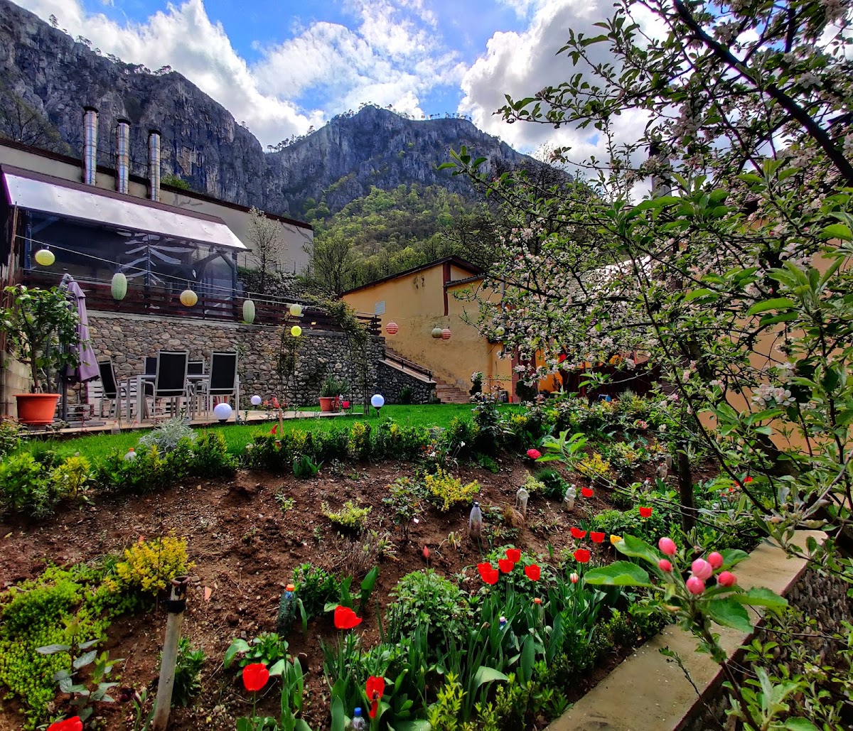 Casa Miclau