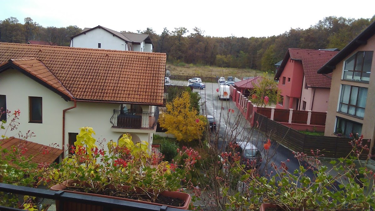 Casa Micu