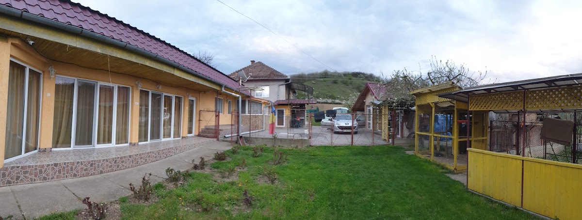 Casa Misha, Petreşti