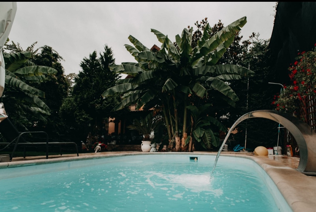 Casa Mona