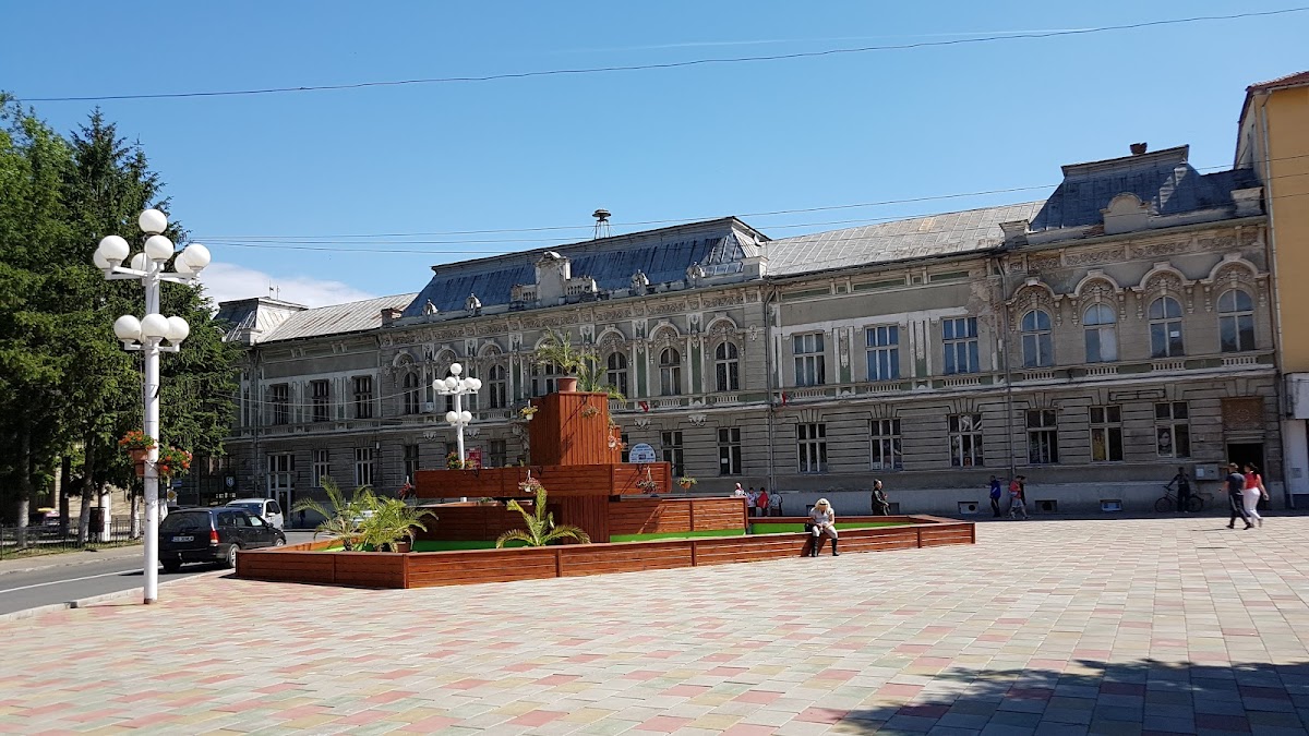 Casa Municipală de Cultură George Suru - foto 3