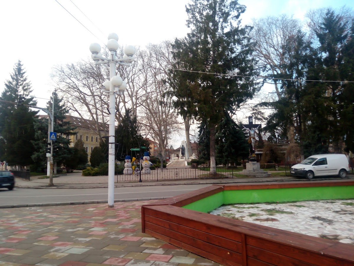 Casa Municipală de Cultură George Suru - foto 4