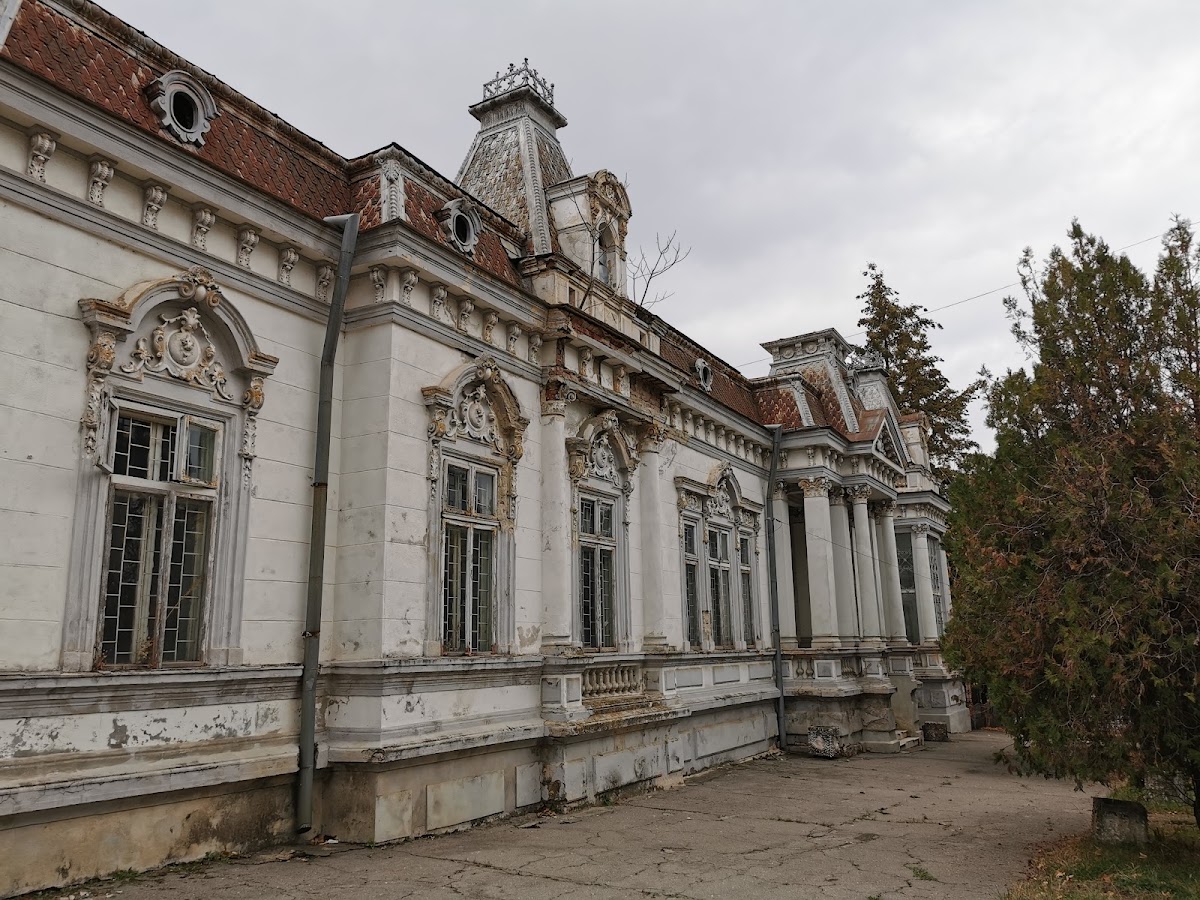 Casa Nicolae Titulescu - foto 3