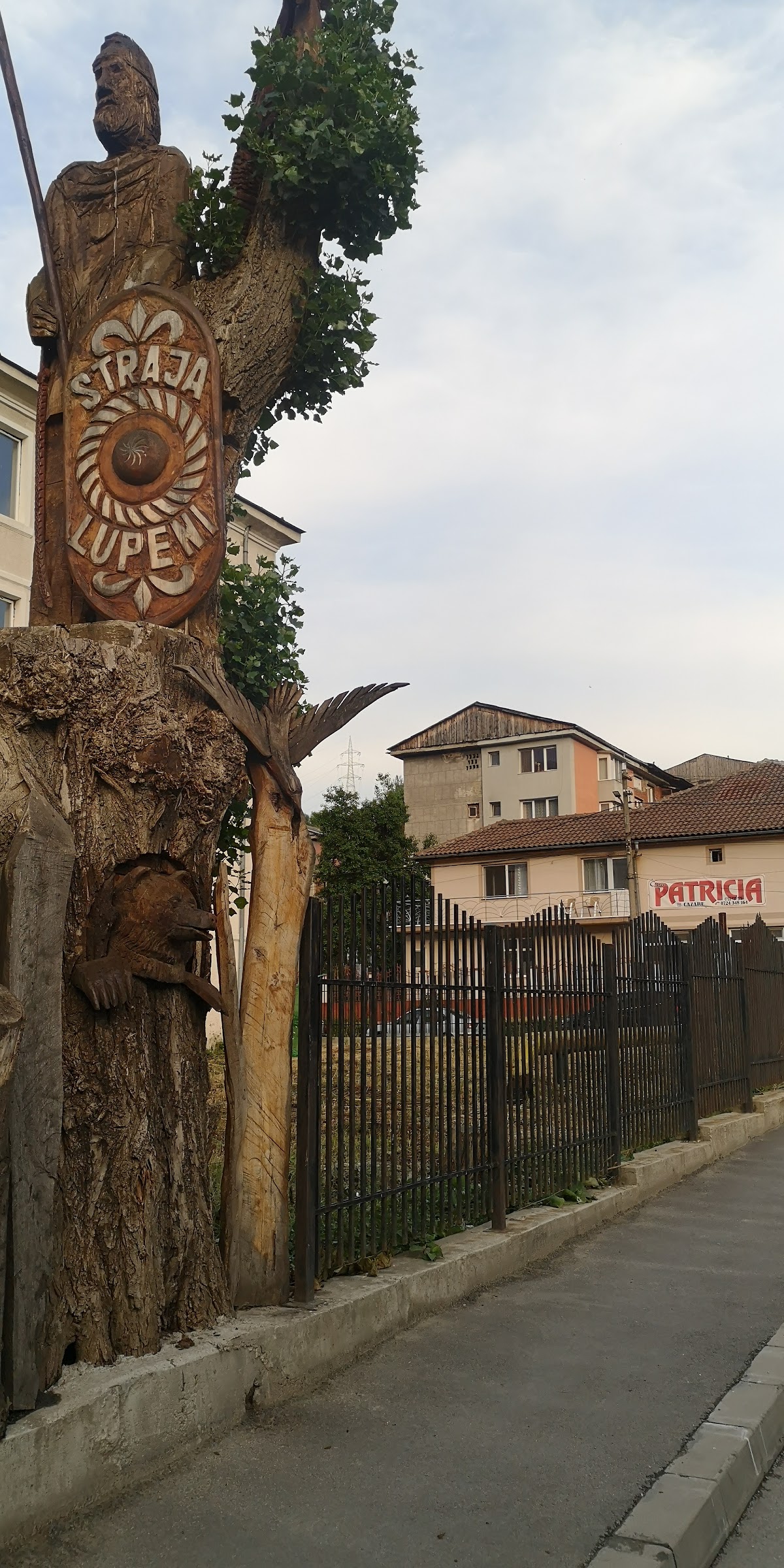 Casa Patricia, Lupeni