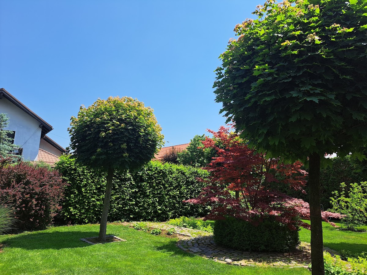 Casa Petri
