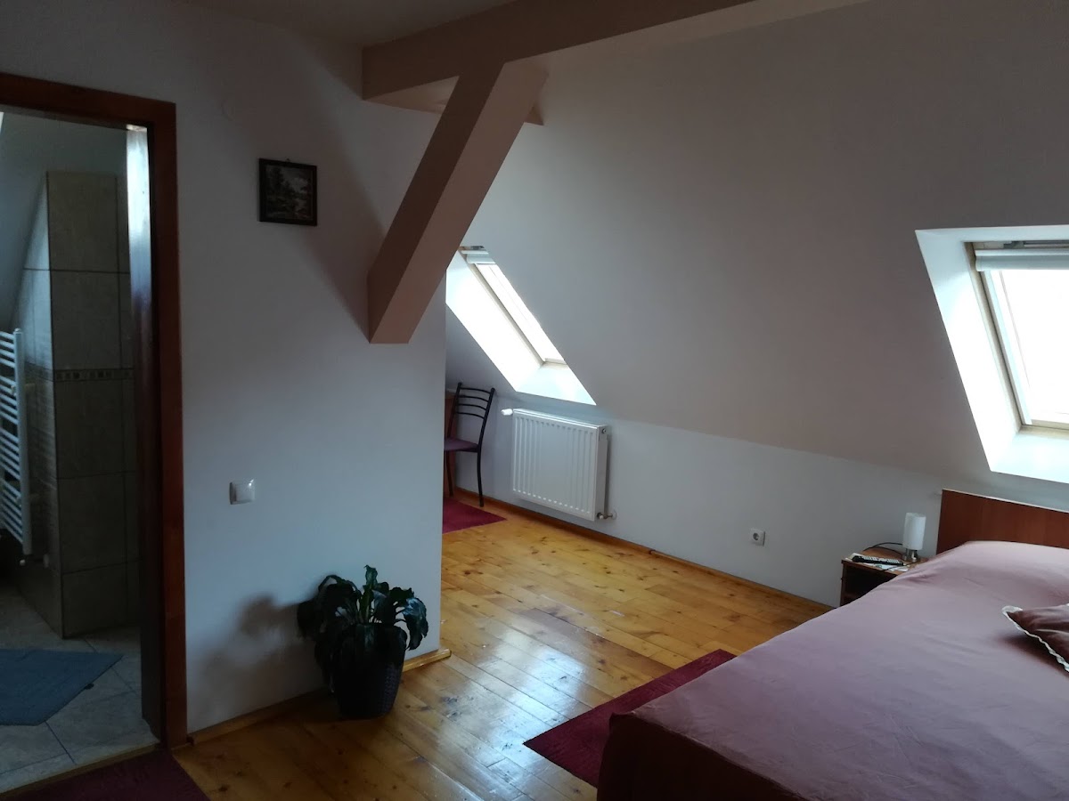Casa Plesca
