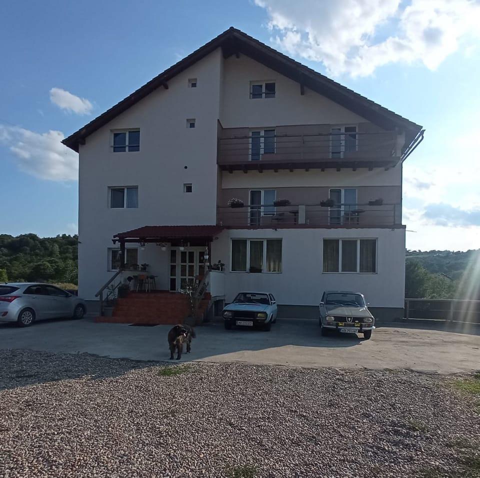 Casa Roua, Băile Felix