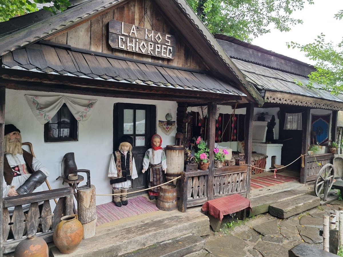 Casa si Muzeul Memorial „Ion Creangă” din Humulești - foto 3