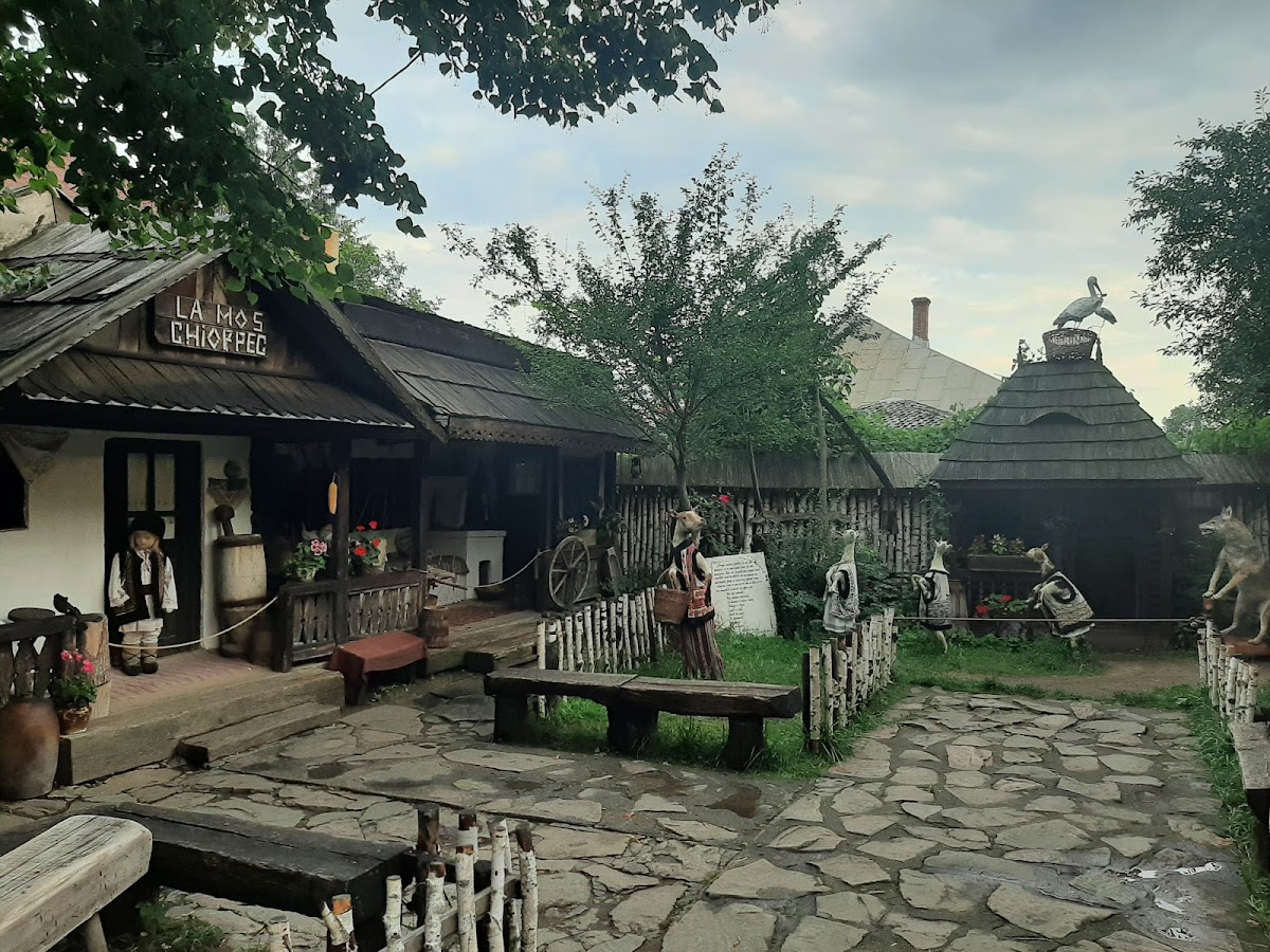 Casa si Muzeul Memorial „Ion Creangă” din Humulești - foto 4