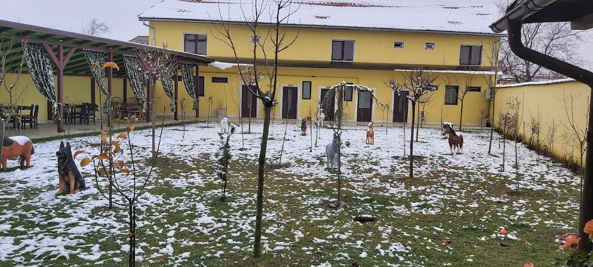 CASA SIMESCU II
