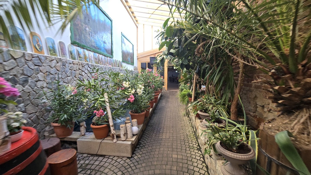 Casa Simy - foto 5