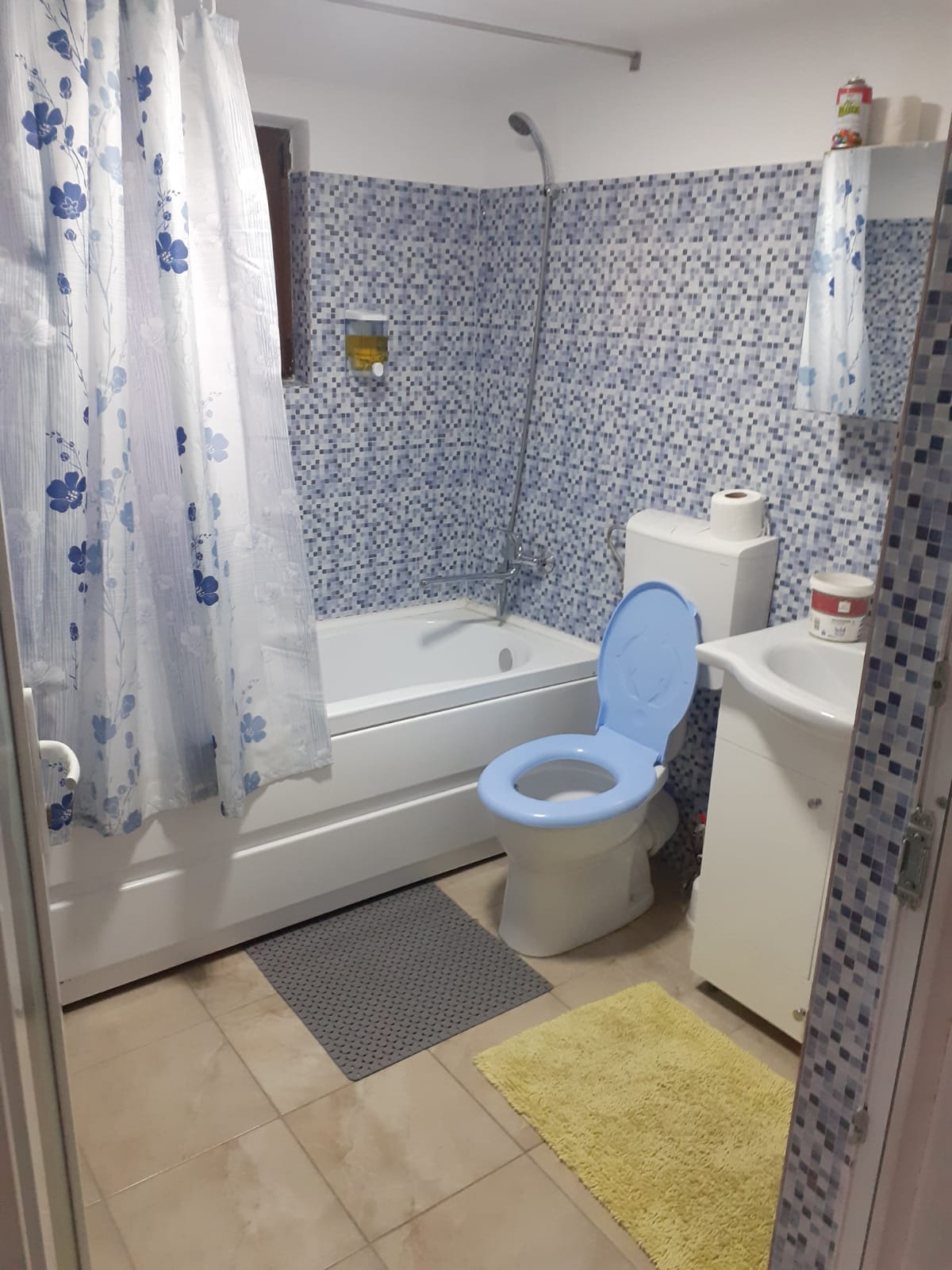 Casa Sofia a Tg-Jiu
