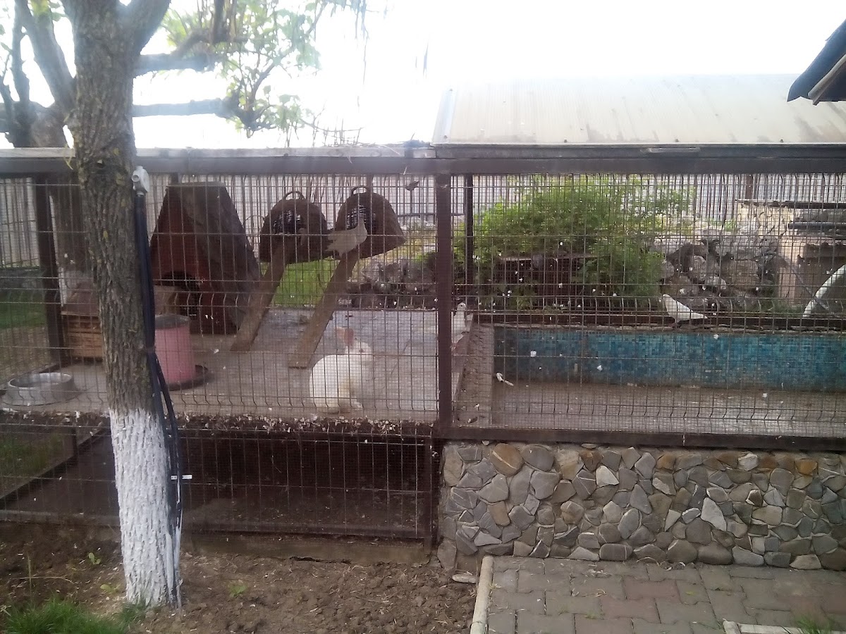 Casa Soleil - foto 5