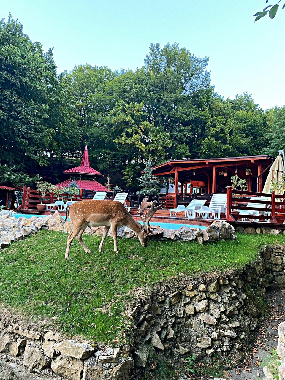 Casa Someșeana