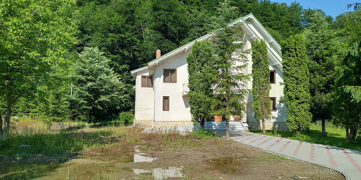 Casa Stirbei - foto 3