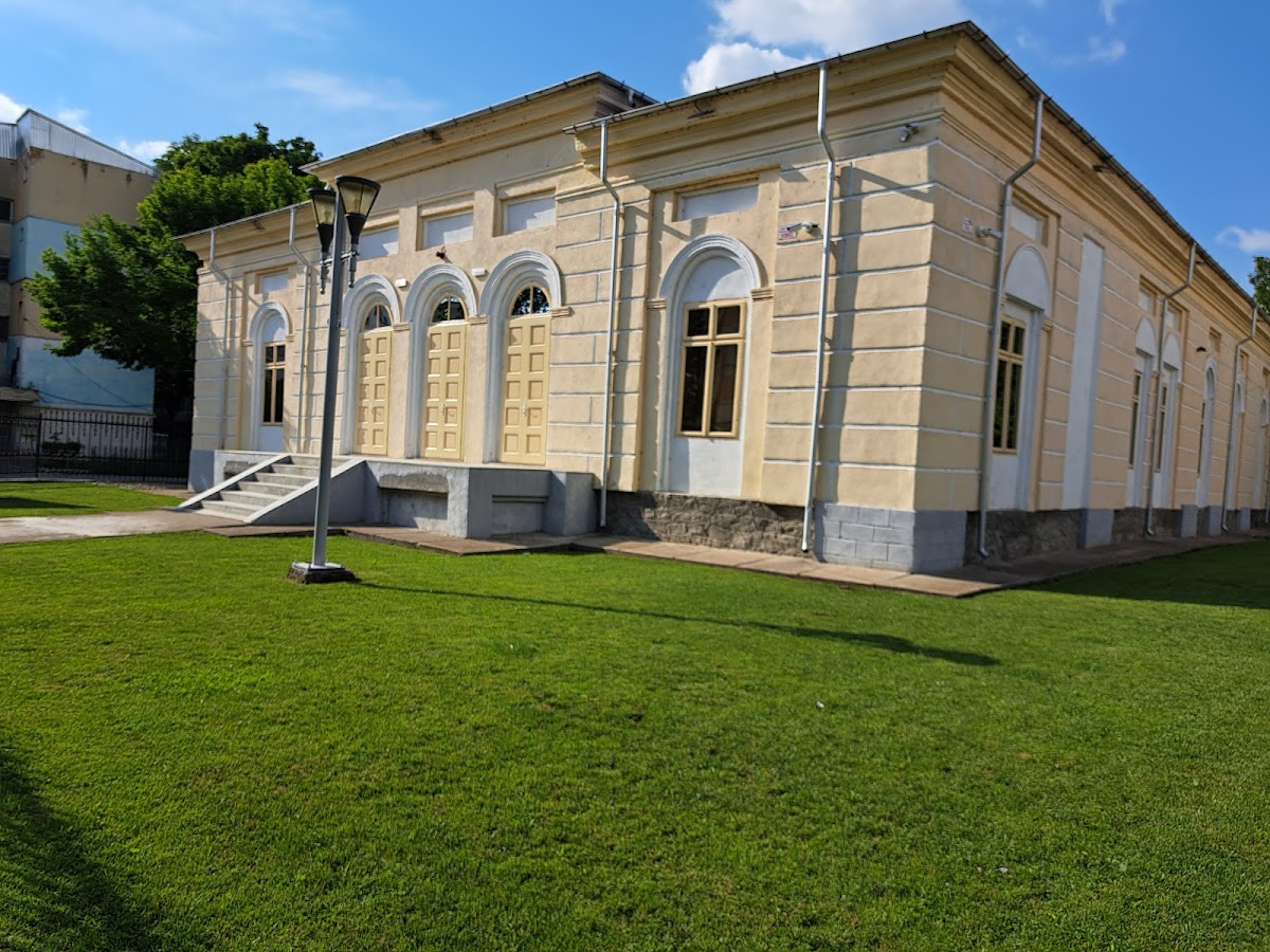 Casa Sturdza - Museo de Colecciones - foto 2