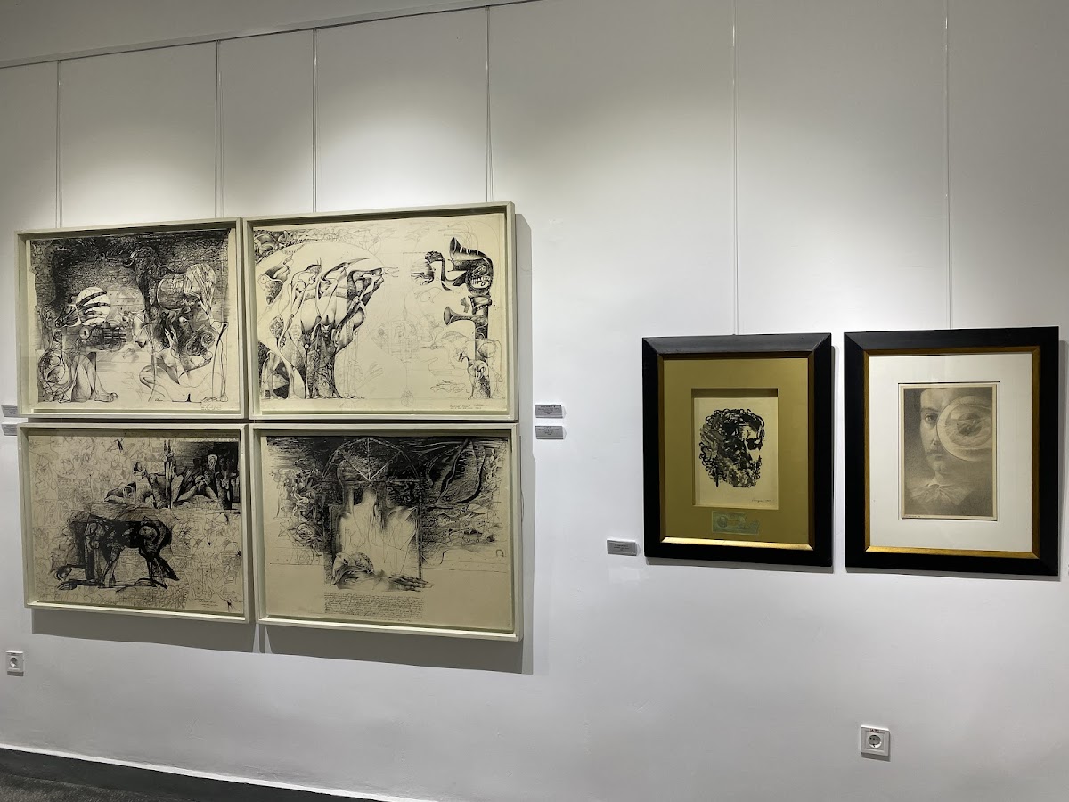 Casa Sturdza - Museo de Colecciones - foto 3