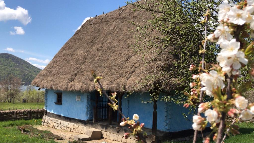 Casa țărănească „Mărcuț Iacob” Călinești Oaș - foto 5