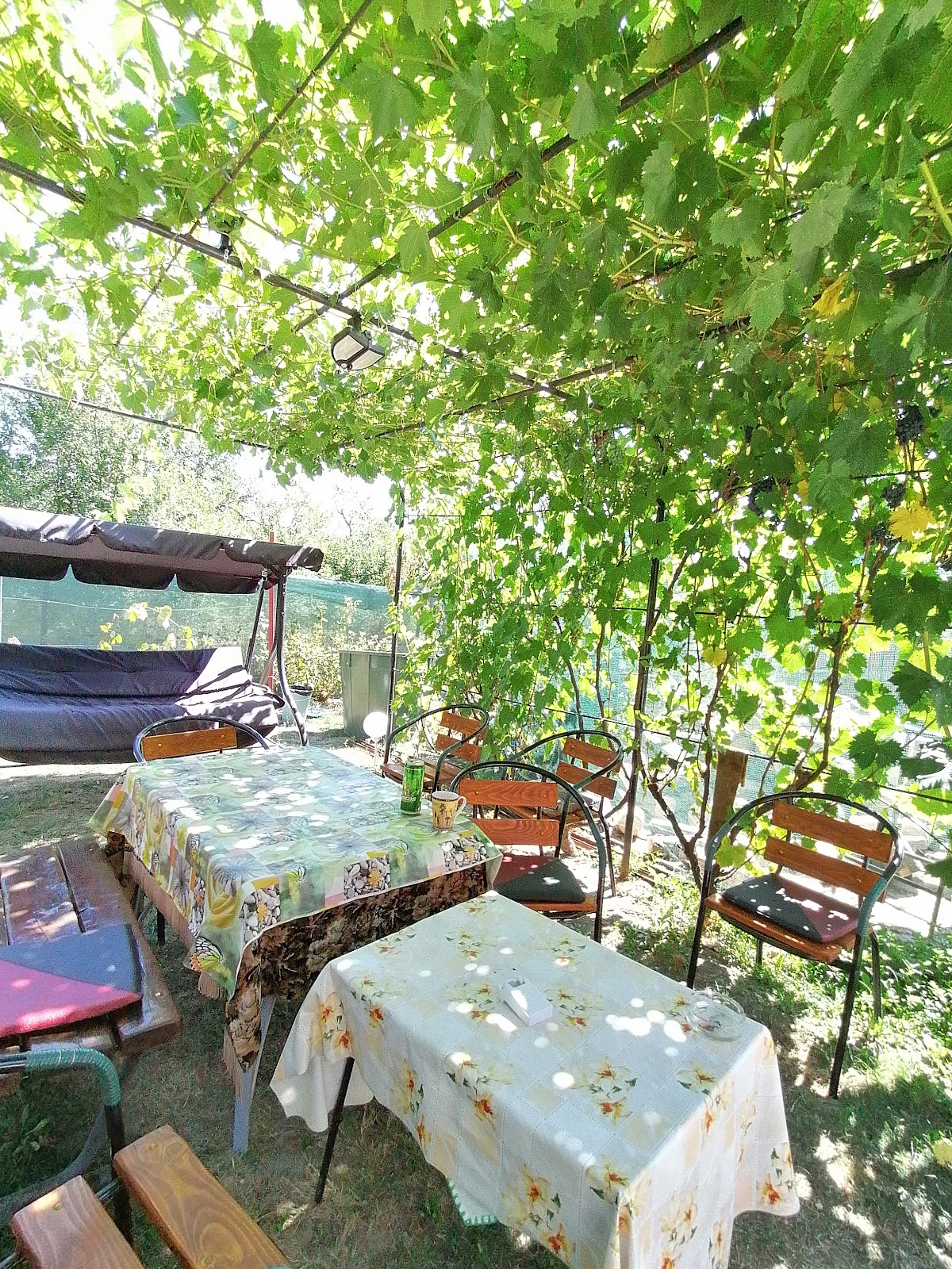 Casa Tinu
