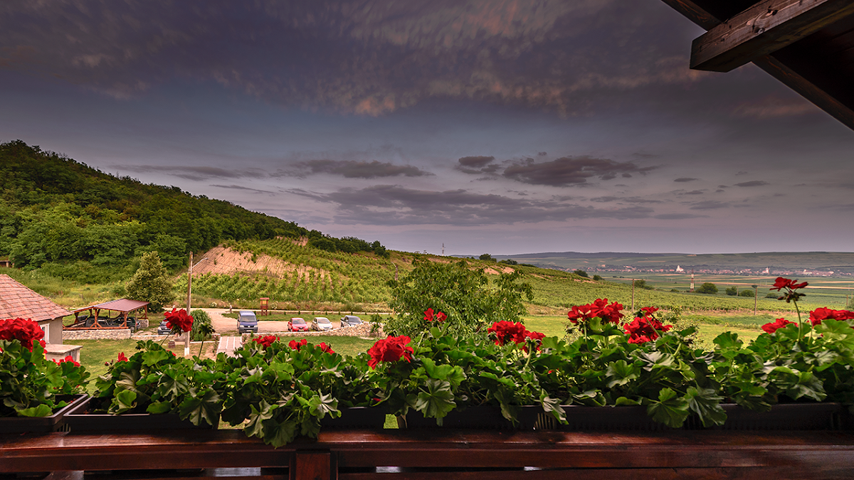 Casa Tirol Blaj - foto 5