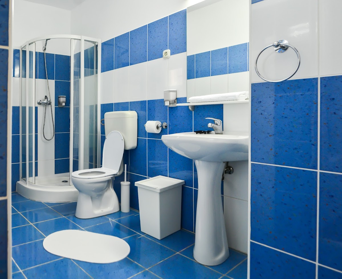 Casa Transilvania - foto 4