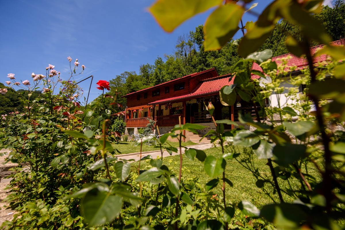 Casa Valea Garzii, Crişcior