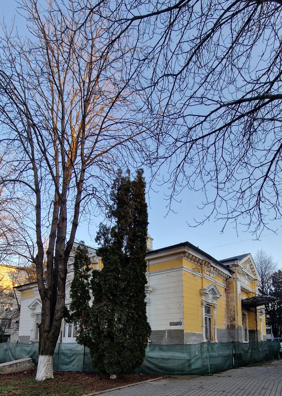 Casa „Văsescu” - foto 5