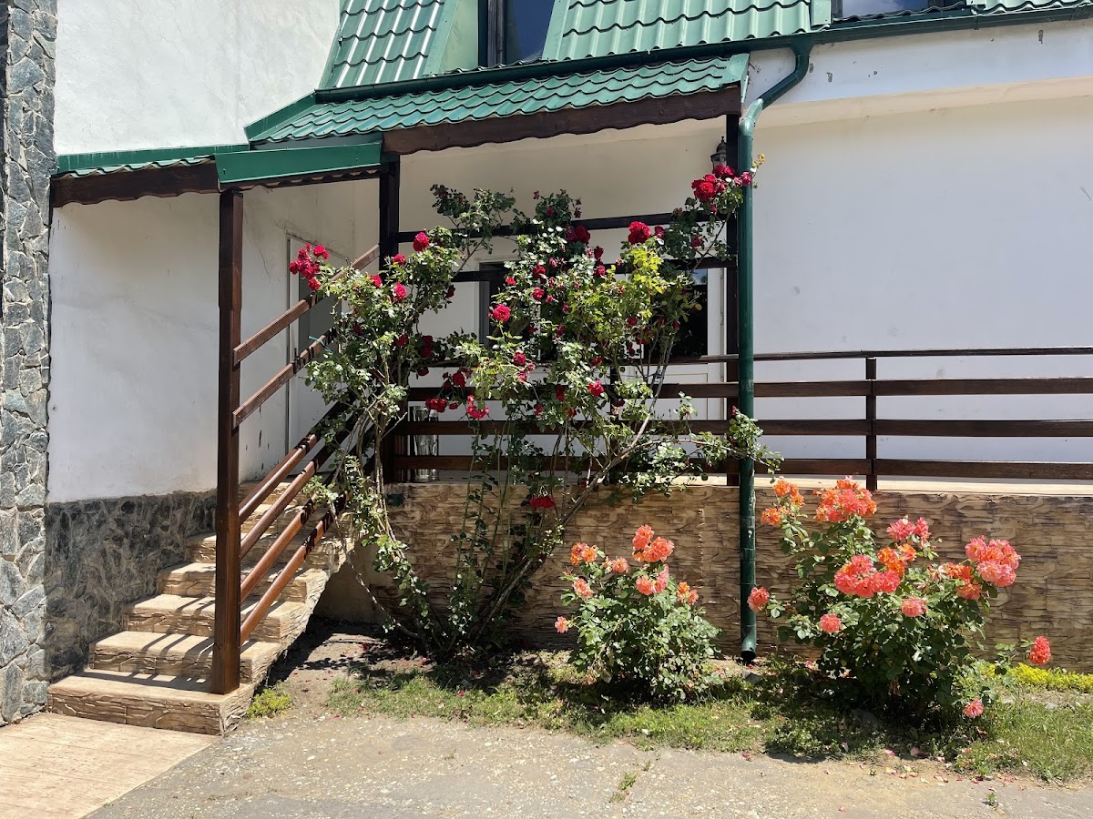 Casa Verde - Cazare Bechet - foto 1