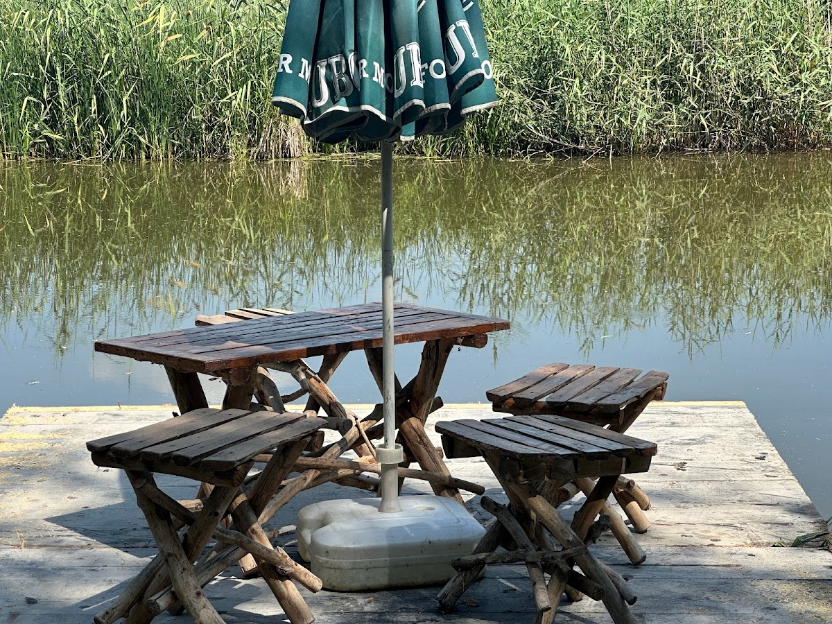 Casa Verde - Cazare Bechet - foto 5