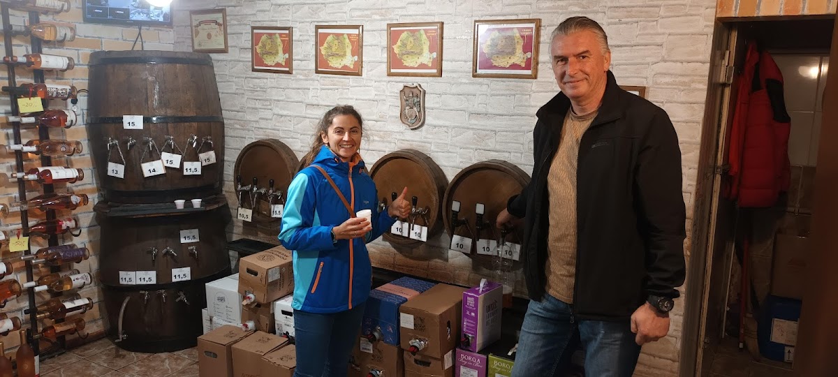 Casa Vinului - foto 2