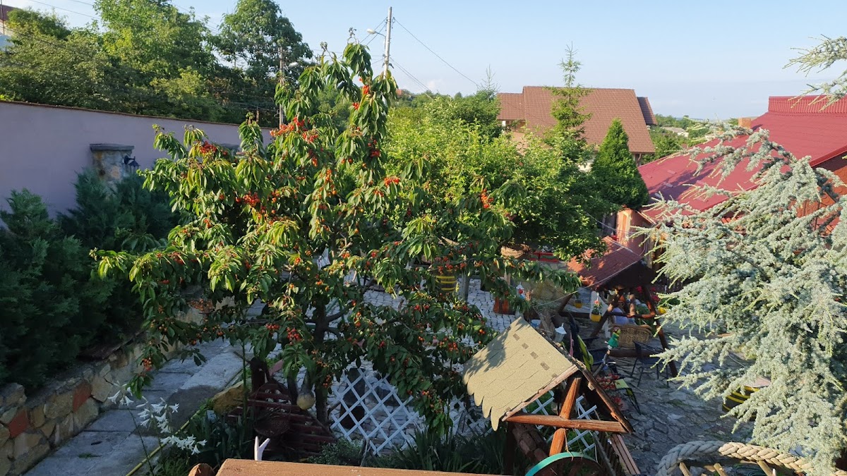 Casa Vladut - foto 4