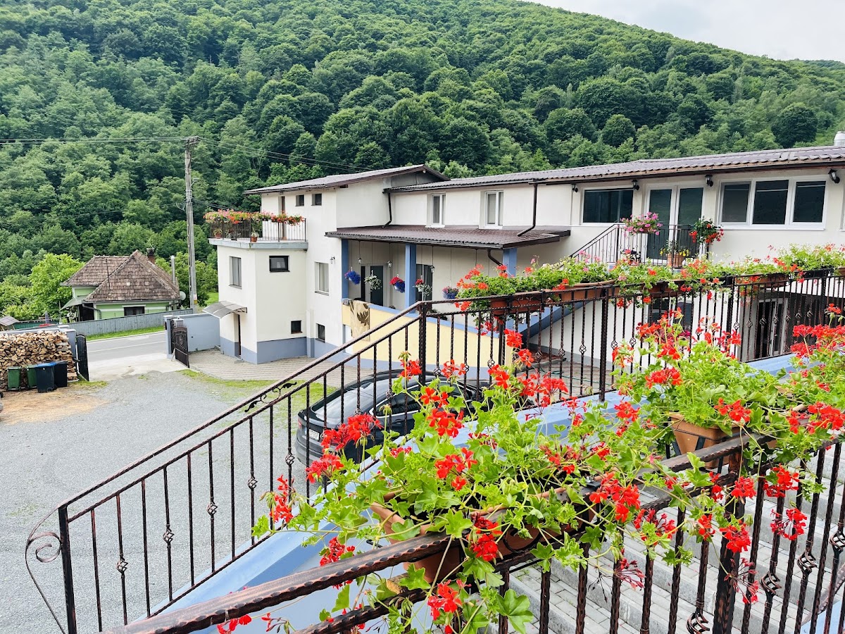 CasaAle